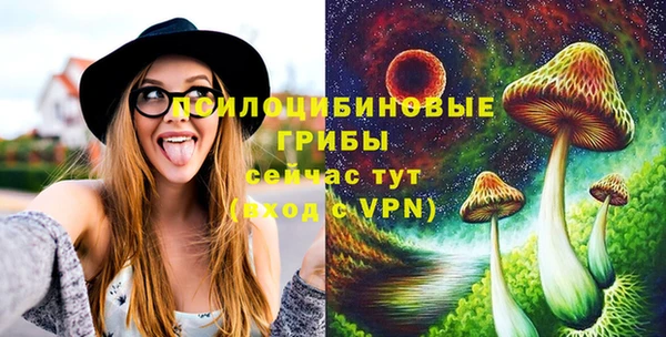 мет Дмитровск