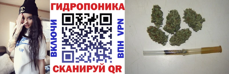 Купить закладки  Фокино  МАРИХУАНА Amnesia 